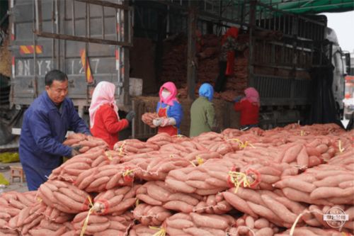 强化物流基础设施，武威助力农特产品销售出实招