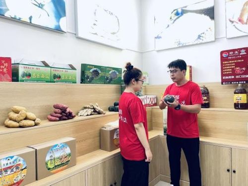 潍坊昌乐 琴声悠扬，奏响文化振兴与初级农产品销售的交响曲