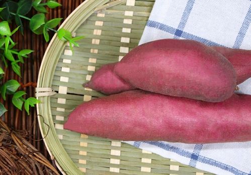 线下农产品销售日渐冷淡 中国富硒农业的挑战与转型之路