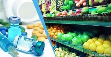 筑牢安全防线 冷链物流在初级农产品销售中的关键作用