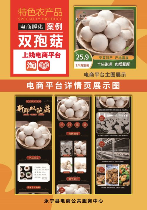 打造区域公共品牌丨永宁农产品招募令 共建本土优质农产品销售新生态