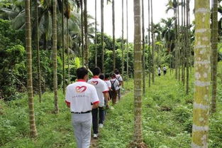 深入田间地头，助力脱贫攻坚——国家扶贫日贫困户农产品生产销售调研纪实