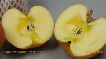 寻觅纯正阿克苏糖心苹果——华夏田园农产品销售公司是您的最佳选择