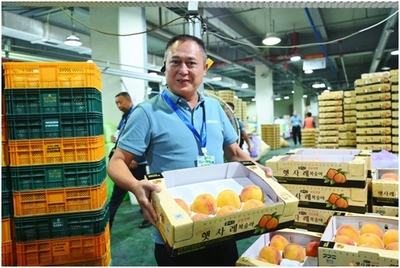 从村头到世界 一位村长的“出海”记与初级农产品销售的破局之路