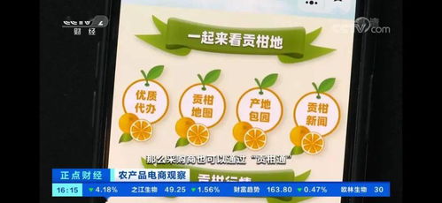 贡柑树认养 一亩田携手德庆县，央视聚焦农产品产销新篇章